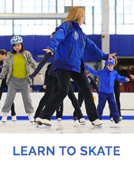 Learn to skate icon